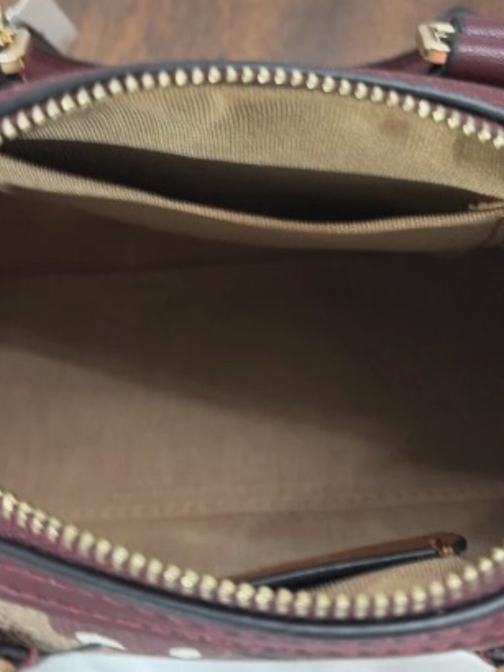 NWT COACH Rowan mini–Satchel Bag In Signature Canvas with Cherry Print - Picture 2 of 9
